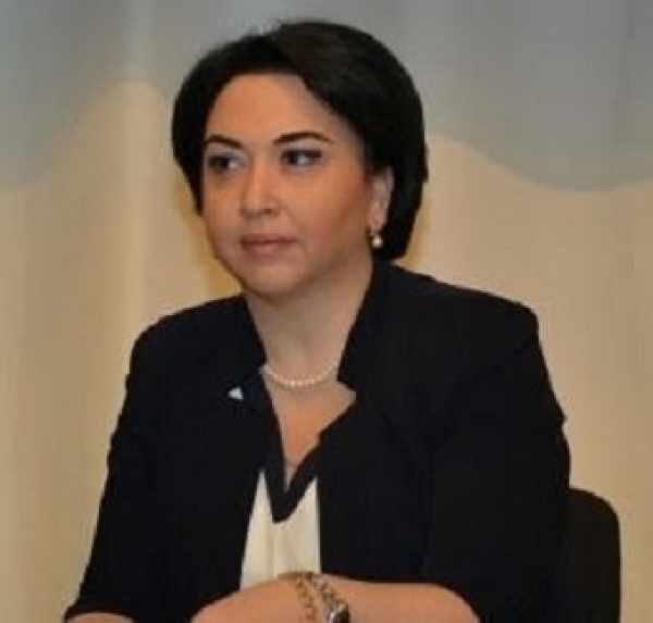ეკა ბესელია ევროსაბჭოს საპარლამენტო ასამბლეის იურიდიულ საკითხთა და ადამიანის უფლებათა დაცვის კომიტეტის სხდომაში მიიღებს მონაწილეობას 