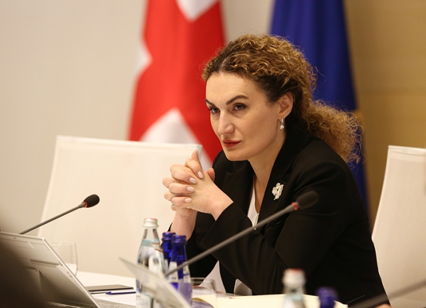 ქეთევან ციხელაშვილმა საერთაშორისო ორგანიზაციებსა და დიპკორპუსის წარმომადგენლებს გატაცებული მაია ოთინაშვილის საკითხზე ინფორმაცია მიაწოდა
