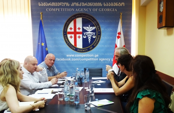 ნოდარ ხადური GIZ-ის წარმომადგენლებს შეხვდა
