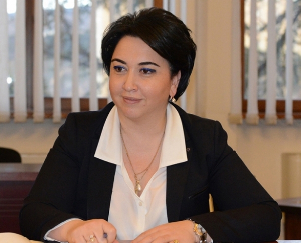 ეკა ბესელია ბელგიის სამეფოს ფედერაციული პარლამენტის წარმომადგენელთა პალატის თავმჯდომარეს შეხვდა