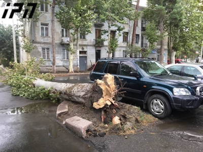 ძლიერმა ქარმა რუსთავში სახურავები დააზიანა და ხის ტოტები დაამტვრია