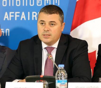 ოთარ დანელიამ ელჩებს ექსპორტის პოტენციალის მქონე 21 პროდუქტის სია წარუდგინა