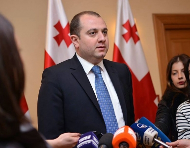 ფრაქცია "თავისუფალი დემოკრატები" ნინო გვენეტაძის კანდიდატურას მხარს დაუჭერს