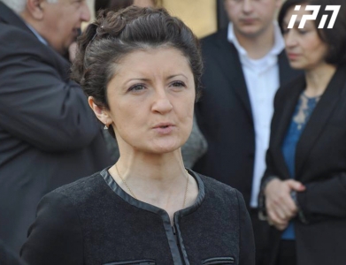  თეა წულუკიანი - ზოოპარკის დირექტორი არ გახლავთ ხელისუფლება 
