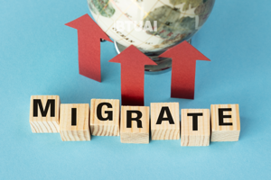 ხელოვნური ინტელექტის ახალი ეკოსისტემა საქართველოში: სამუშაო ბაზრის ტრანსფორმაცია და უნარების მოთხოვნა