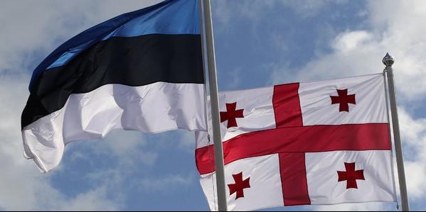 爱沙尼亚外交部关于冻结非政府组织账户：这是民主的一个巨大倒退，直接打击了公民。