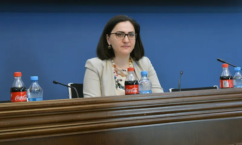 ადამიანის უფლებათა დაცვის კომიტეტმა გარკვეული საკითხები შესაძლოა, ონლაინ რეჟიმში განიხილოს