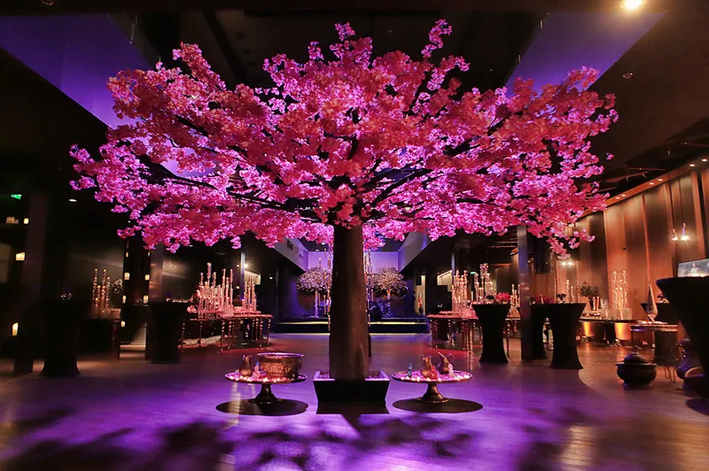 Sam Raan Spa-Center named Best Spa in Europe
