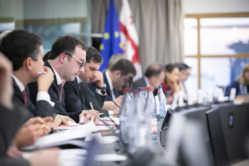 დავით სონღულაშვილი უგულავას საქმეზე - მზად ვართ, ევროპარლამენტის ფაქტების შემსწავლელი მისიის წვერებს ვთხოვოთ, გაგვიწიონ დახმარება ამ საკითხის მაქსიმალურად გამჭვირვალედ წარმოსაჩენად
