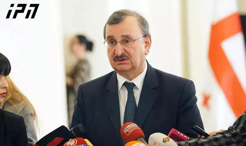 Roman Gotsiridze on opposition parties: We're competitors now, once we enter the parliament we'll become partners