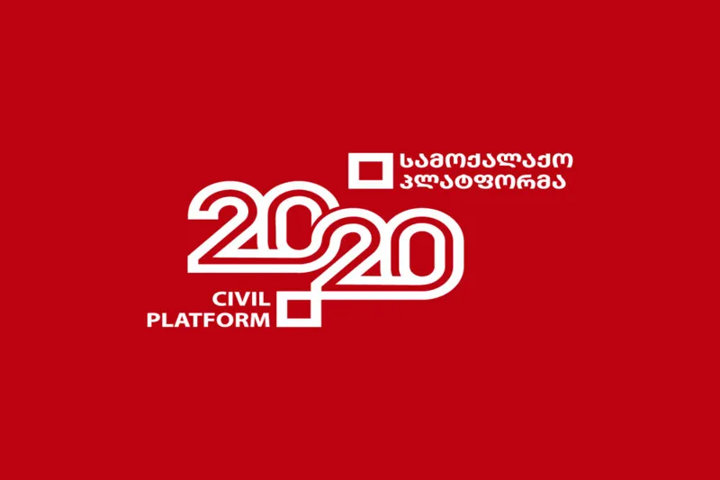 „სამოქალქო პლატფორმა 20/20“ წინასაარჩევნოდ სახალხო დამცველთან არსებული სამუშაო ჯგუფის აღდგენას ითხოვს