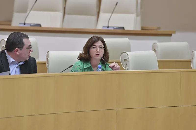 Irma Nadirashvili: Georgian Dream uses State Security Service and MIA not to fight crime, but against political opponents