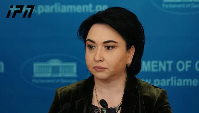 Eka Beselia: Demand to ban political parties is unprecedented – scheduled hearings indicate preparations for a rushed decision