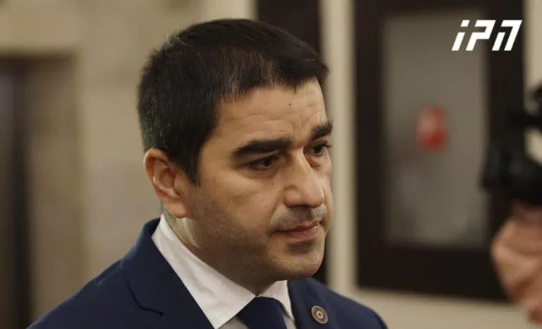 განათლების, მეცნიერებისა და კულტურის კომიტეტის თავმჯდომარის პირველ მოადგილედ შალვა პაპუაშვილი აირჩიეს