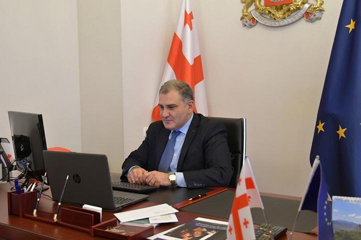 მიხეილ სარჯველაძემ გაეროს განვითარების პროგრამის წარმომადგენლებთან ონლაინ შეხვედრა გამართა