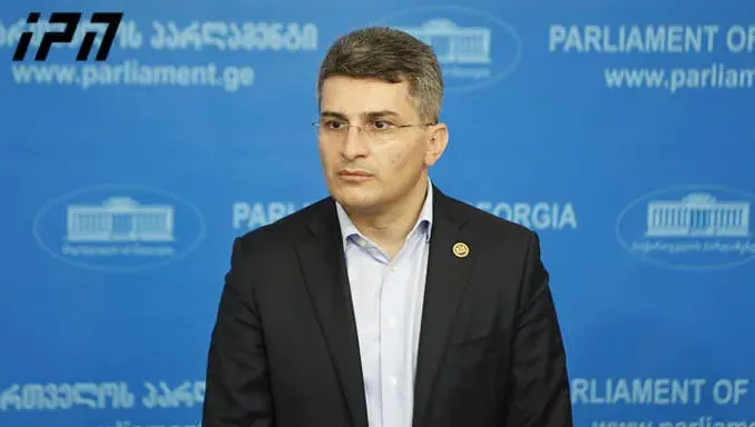 Mamuka Mdinaradze: The payment of bail by the European Union does not mean the recognition of Melia as a political prisoner