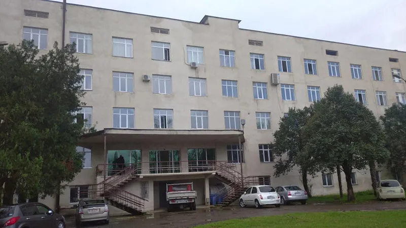 В Кутаиси из ковид-отделения клиники им. Чхобадзе выпрыгнул пациент