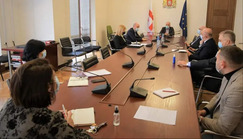 ჯანმრთელობის დაცვისა და სოციალურ საკითხთა კომიტეტში ოკუპირებულ ტერიტორიებზე მცხოვრებთა ჯანმრთელობის და სოციალური დაცვის საკითხებზე იმსჯელეს