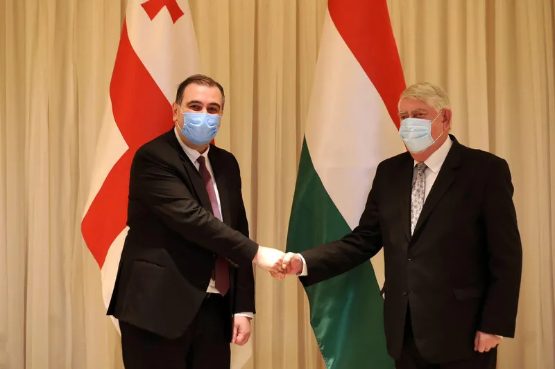 მიხეილ ჩხენკელმა უნგრელ კოლეგასთან თანამშრომლობის გაფართოების საკითხები განიხილა