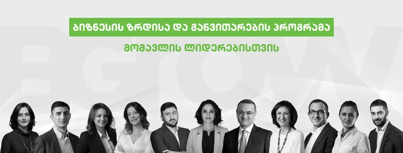 მცირე და საშუალო ბიზნესების გაძლიერების პროგრამა BGROW დაიწყო