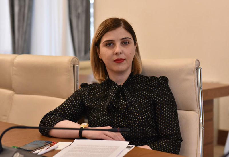 Khatia Tsilosani 被提名担任格鲁吉斯驻欧洲委员会常驻代表一职。