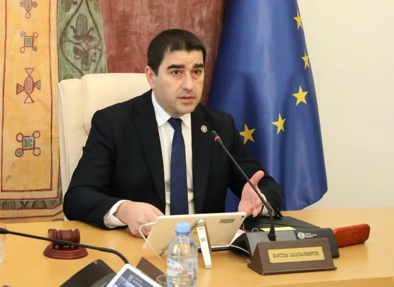 შალვა პაპუაშვილი “ნაციონალურ მოძრაობას“ მიმართავს, მიხეილ სააკაშვილის მიმართ შესაძლო ძალადობის შემსწავლელი საგამოძიებო კომისიის შექმნის საკითხი განსახილველად პლენარულ სხდომაზე წარადგინონ
