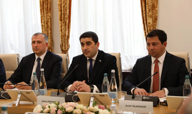 შალვა პაპუაშვილმა აზერბაიჯანის რესპუბლიკის მილი მეჯლისის თავმჯდომარეს უმასპინძლა