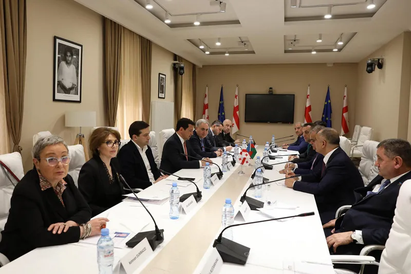არჩილ თალაკვაძე აზერბაიჯანი-საქართველოს მეგობრობის ჯგუფის ხელმძღვანელს, არზუ ნაღიევს შეხვდა