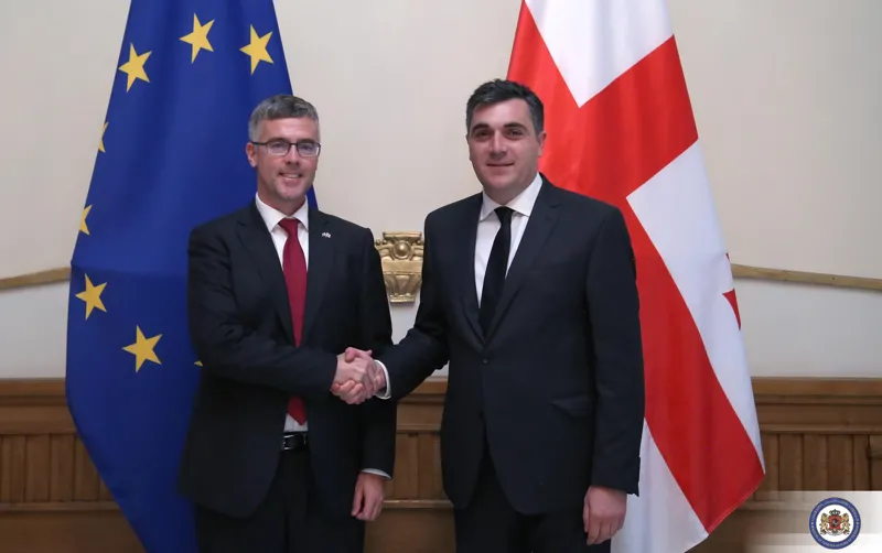 ილია დარჩიაშვილმა შვედეთის სამეფოს ელჩი მიიღო