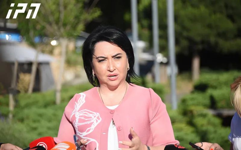 Eka Beselia - Elene Khoshtaria's health condition requires complex and highly qualified medical intervention - a doctor trusted by Elene has been involved in the process