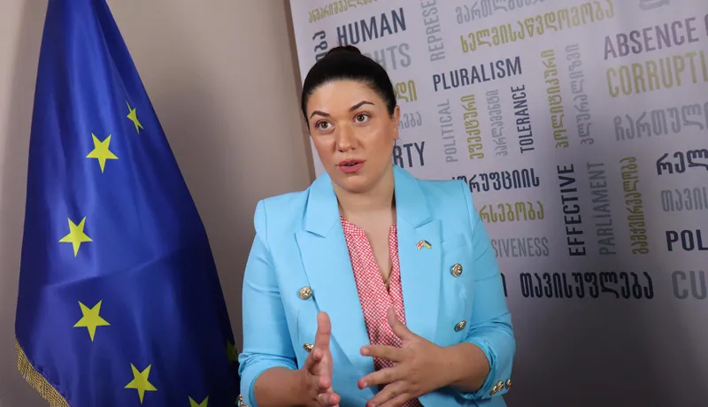 ქეთევან ჩაჩავა - აუცილებელია ყველაფერი გაკეთდეს, რომ საქართველომ ევროკავშირის კანდიდატობის სტატუსის მისაღებად წლის ბოლომდე „მეორე შანსი“ გამოიყენოს