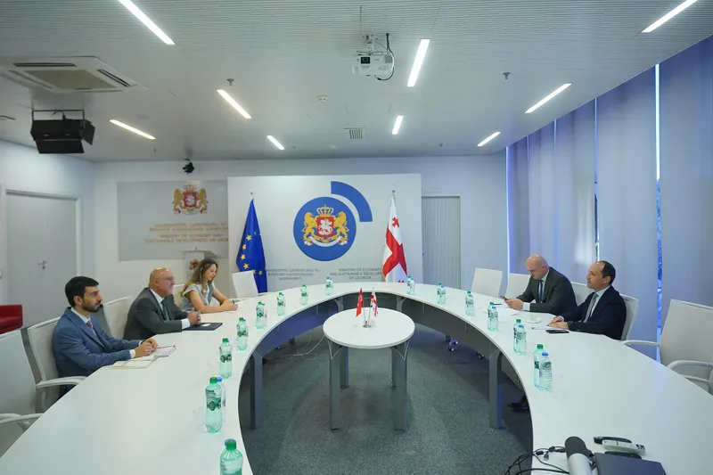ვიცე-პრემიერი ლევან დავითაშვილი თურქეთის ელჩს შეხვდა