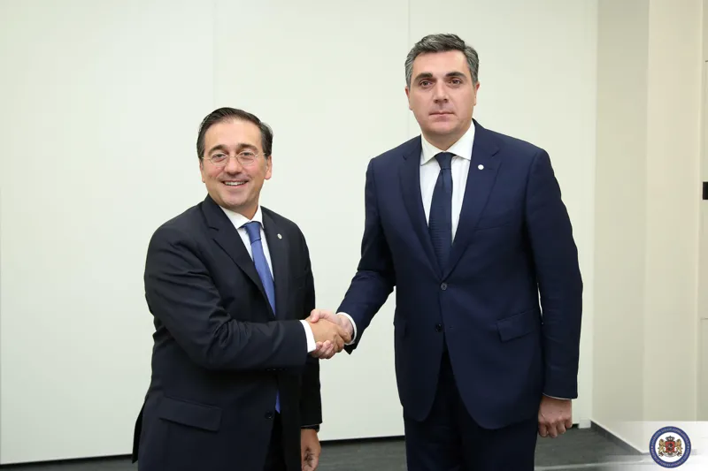 საქართველოს საგარეო საქმეთა მინისტრი ესპანელ კოლეგას შეხვდა