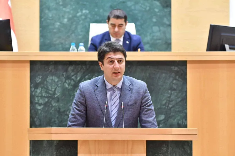 პარლამენტმა გენერალური აუდიტორის თანამდებობიდან ცოტნე ყავლაშვილის წასვლა ცნობად მიიღო
