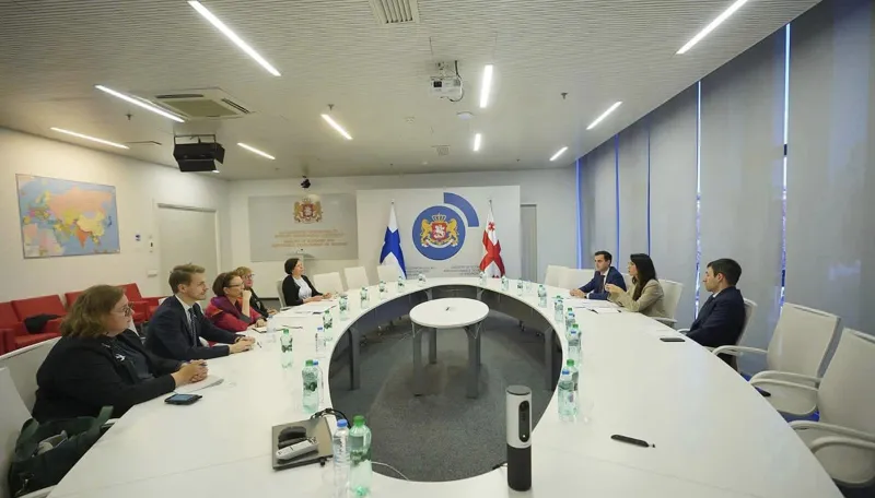 მარიამ ქვრივიშვილი ფინეთის საგარეო საქმეთა მინისტრის მოადგილეს შეხვდა