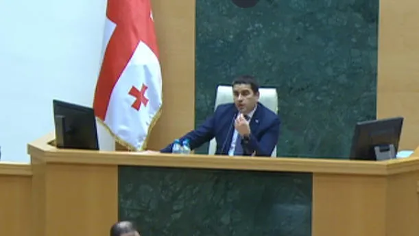 At the instructions of Shalva Papuashvili, the supervisor made Salome Samadashvili leave the session hall