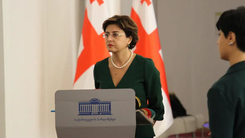 ხათუნა სამნიძე - საპროცედურო ომით ეცადა ხელისუფლება ხელი შეეშალა საგამოძიებო კომისიის შექმნისთვის, მაგრამ კენჭისყრაზე საკითხი ისევ დადგება
