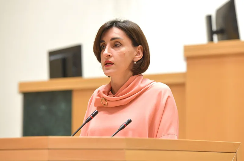 მაკა ბოჭორიშვილი ტყუილია, რომ ქართულმა ოცნებამ ცალმხრივად შეაჩერა ევროინტეგრაციის პროცესი 2028 წლამდე საქართველოსთან პოლიტიკური დიალოგი 2024 წელს ბრიუ...