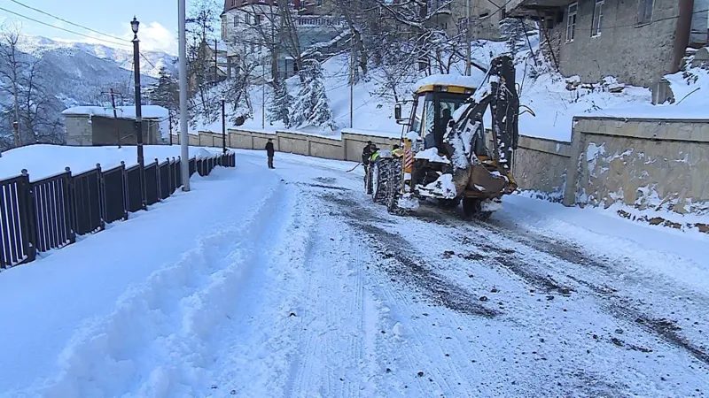 აჭარის მაღალმთიან სოფლებში თოვლმა პრობლემები შექმნა