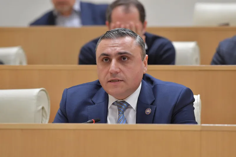 Davit Matikashvili: The amount sent by our diaspora is very significant — every family is grateful, but this money isn’t going into the state budget