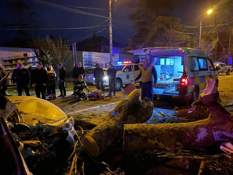 В Кобулети на автомобиль упало дерево, погиб один человек – В Батуми вследствие проблем, вызванных сильным ветром, пострадали 3 человека
