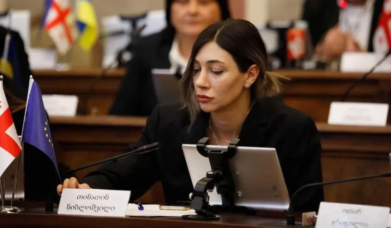 თინათინ ნიბლოშვილი - არავის აქვს უფლება, რაღაც დოზით ქალებს სახელმწიფო ინსტიტუტების მიმართ უნდობლობა გაუჩინოს, განსაკუთრებით კი ძალადობის მსხვერპლ ქალებს