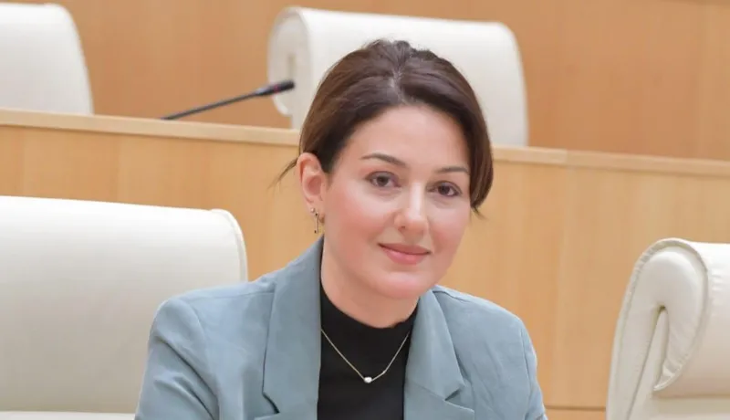 ქეთევან თურაზაშვილი - მარტოხელა მშობლებს რეალური, ხელშესახები დახმარება სჭირდებათ - სულ უნდა გვახსოვდეს, რომ ყველა მარტოხელა მშობლის უკან მინიმუმ ერთი ბავშვი დგას
