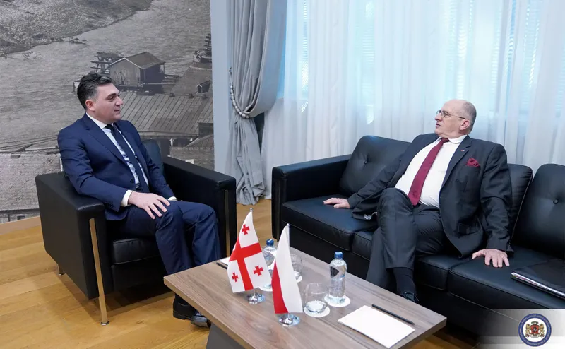 პოლონეთის საგარეო საქმეთა მინისტრის განცხადებით, ილია დარჩიაშვილთან შეხვედრაზე მიხეილ სააკაშვილის საკითხი განიხილეს