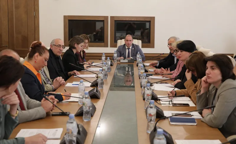 განათლებისა და მეცნიერების კომიტეტმა დასაქმების პოლიტიკის დაგეგმვისა და განხორციელების 2022 წლის ანგარიში მოისმინა