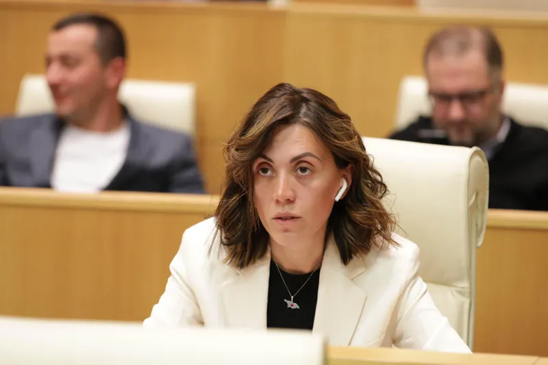 ანა წითლიძემ ალუდა ღუდუშაურს „დებილი“, ღუდუშაურმა ოპოზიციონერ დეპუტატს კი „ბანძი“ და „ფარჩაკი“ უწოდა