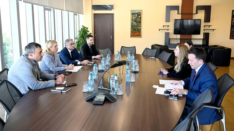 ნათია თურნავა აშშ - ის ელჩს და USAID - ის მისიის ხელმძღვანელს შეხვდა