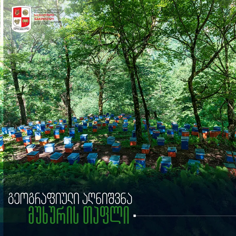 გეოგრაფიული აღნიშვნა „მუხურის თაფლი“ „საქპატენტში“ არის რეგისტრირებული