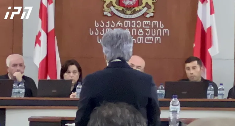 მაია კოპალეიშვილი - წარდგინება მიუთითებს, თითქოს პრეზიდენტმა საგარეო ურთიერთობებში განახორციელა წარმომადგენლობითი უფლებამოსილება - ევროპული ვიზიტები სრულიად განსხვავებული ფორმატით ჩატარდა
