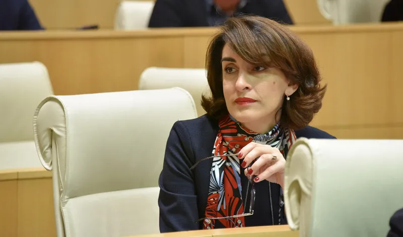 მაკა ბოჭორიშვილი საგარეო პოლიტიკური ნაბიჯების გადადგმისას უკიდურესად ფრთხილად უნდა ვიყოთ სანამ საქართველო ევროკავშირის წევრი არ გახდება, მისი საგარეო ...